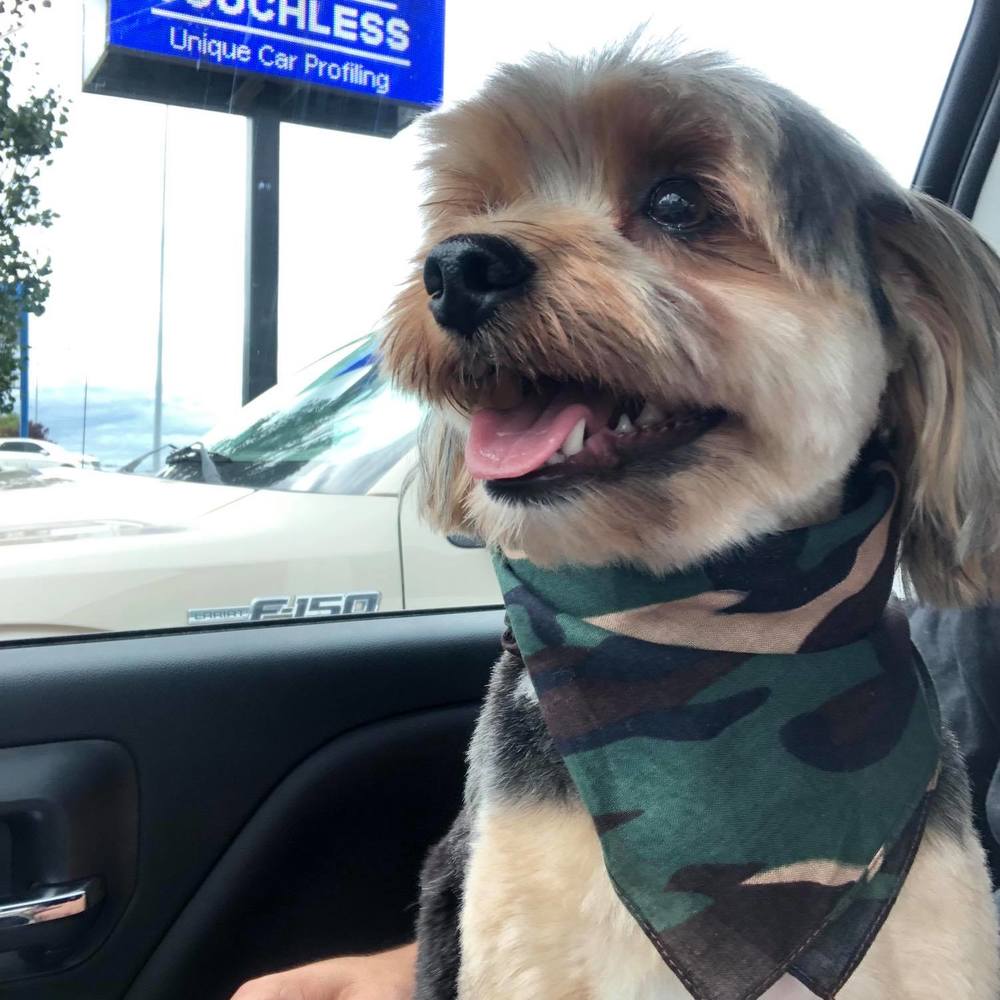 Meet your Posher, Tracy